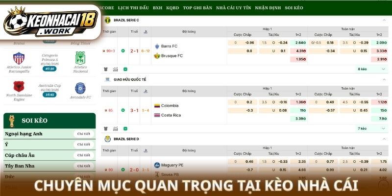 Chuyên mục quan trọng tại Kèo nhà cái