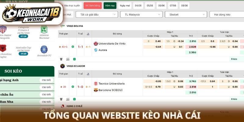 Tổng quan website Kèo nhà cái